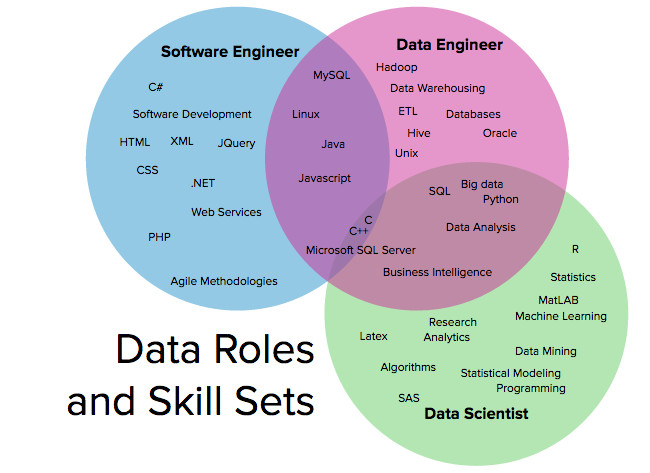 data_roles_and_skill_sets.jpg