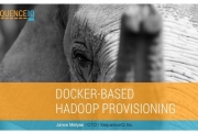 DockerHadoop as a Service API