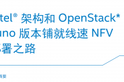 Intel openstack juno 汾 NFV֮·