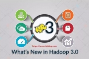 Apache Hadoop 3.1.0 ʽԭ֧GPUFPGA