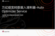 ڼʵʱ-Auto Optimizer Service